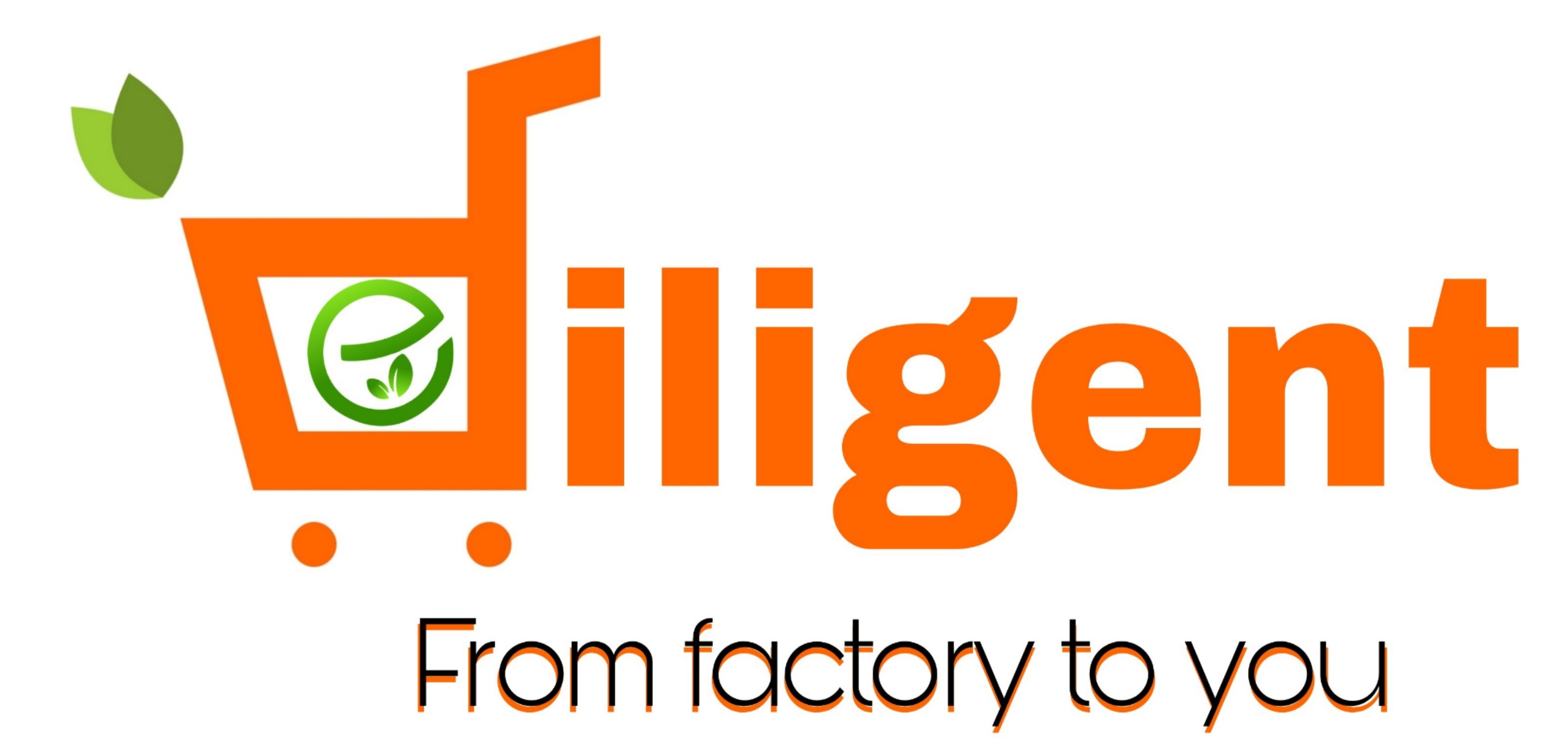 Diligent Egress (P) Limited